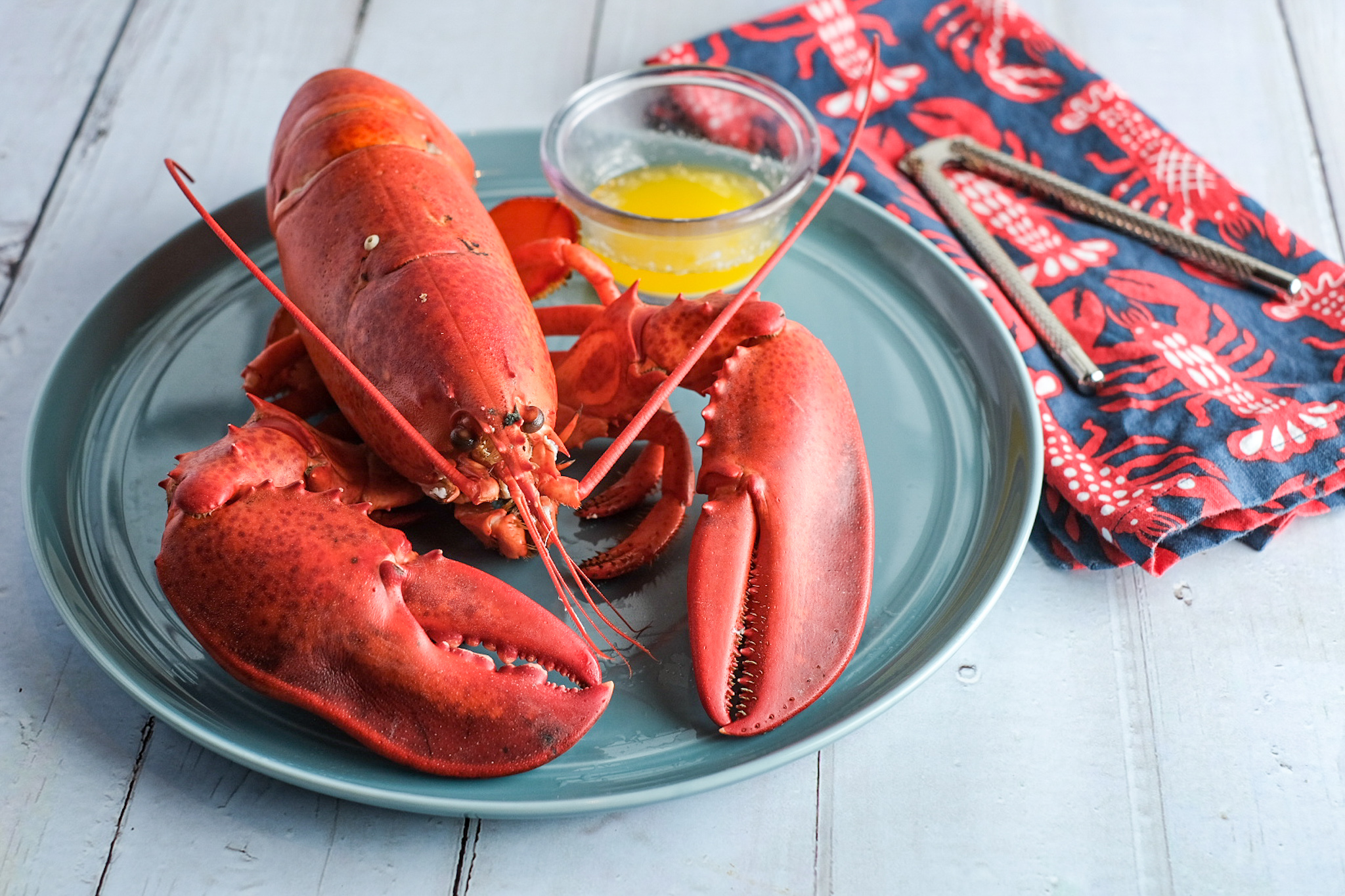 green lobster sb special box
